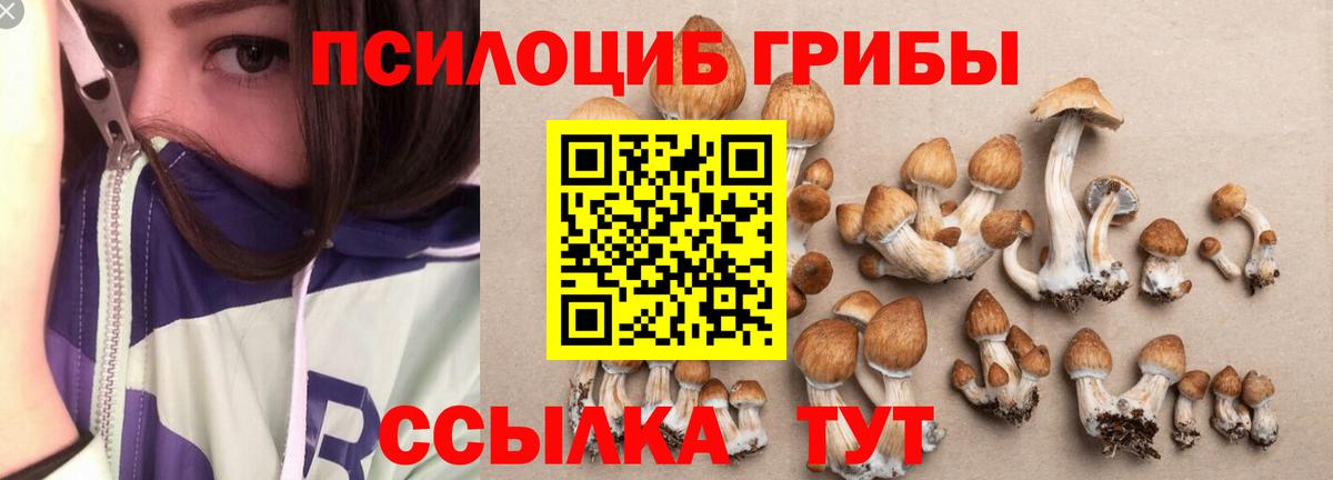 Псилоцибиновые грибы Psilocybe  Вход с VPN  Апрелевка  Галлюциногенные грибы ЛСД 